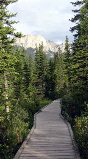 Every journey starts with the first step...